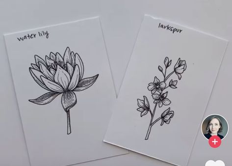 Water Lilly And Larkspur Tattoo, Larkspur And Waterlily Flower Tattoo, Waterlily Larkspur Tattoo, Waterlily And Larkspur Tattoo, Waterlily Tattoos July, Larkspur And Water Lily Tattoo, July Birth Flowers, Waterlily Tattoos, Tattoo Armband