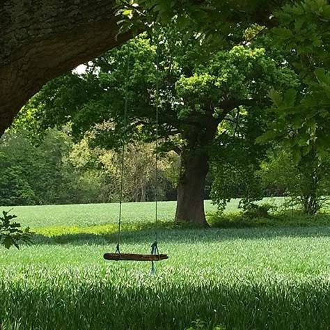 ᴘɪɴᴛᴇʀᴇsᴛ~ ssᴛᴀʀᴅᴜsᴛᴇᴅ Theme Nature, Tree Swing, Have Inspiration, Cottagecore Aesthetic, Nature Aesthetic, Shade Garden, Pretty Places, Lake District, Green Aesthetic