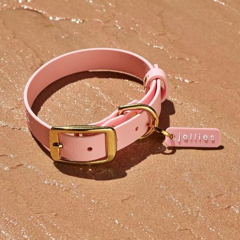 The one you’ve been waiting for… Seashell 🐚 Jellies! This PERFECT, creamy pink is something we’ve been dreaming of releasing for years ☁️. Delightful, whimsical, luxurious and playful - all wrapped into one perfect pink. Seashell Jellies arrive August 6th! Pink Dog Accessories Aesthetic, Coquette Dog Collar, Dog Collars Girly, Pink Dog Collar, Luxury Activewear, Pink Dog Harness, Waterproof Dog Collar, Brand Magazine, Stocking Fillers For Her