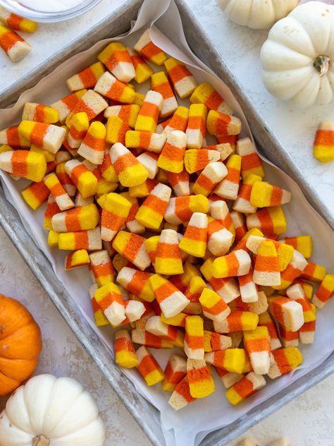 Candy Corn Cookies Candy Corn Recipes Easy, Recipe With Candy Corn, Homemade Candy Corn, Candy Corn Cake Mix Cookies, Candy Corn Shortbread Cookies, Candy Corn Cookies Easy, Halloween Bakes, Oatmeal Lace Cookies, Butterfinger Cookies