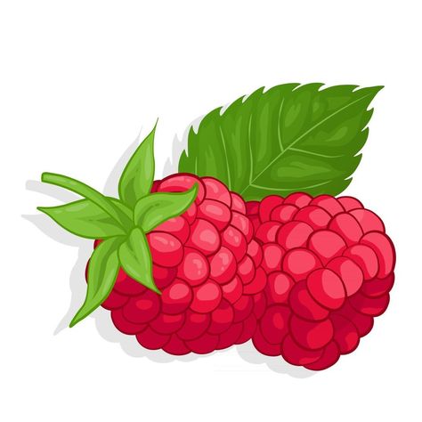 Raspberry sweet fruit illustration for web isolated on white background Sweet Fruit, Fruit Illustration, Tree Saw, Wedding People, Heart Tree, Cityscape Photos, Logo Banners, Nature Backgrounds, Heart With Arrow