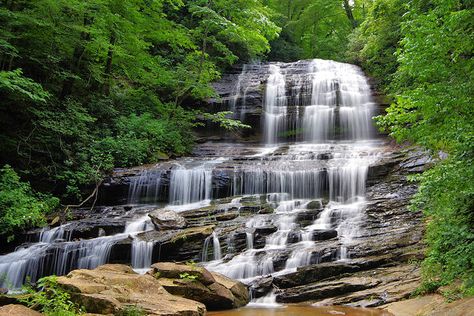 Pearson's Falls, NC Waterfalls Near Asheville Nc, Asheville Waterfalls, Tryon Nc, Nc Waterfalls, Waterfall Park, Maggie Valley, Mountain Waterfall, Pisgah National Forest, Mouse Trap