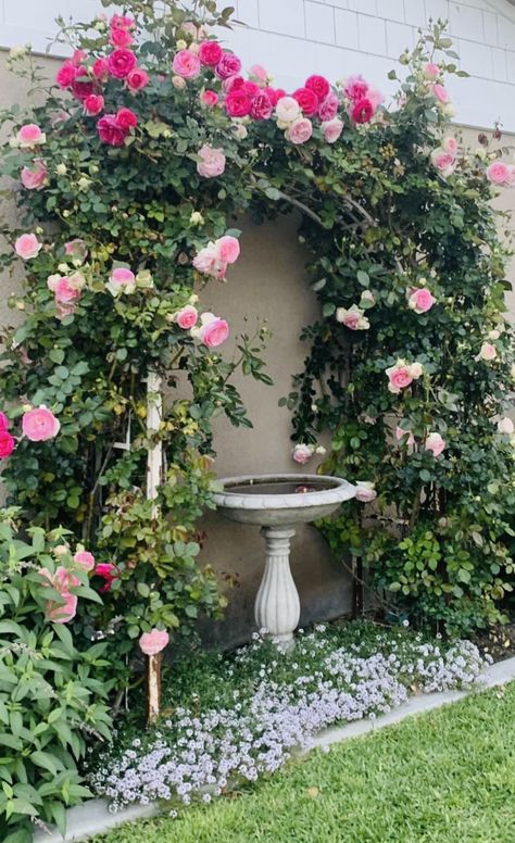 Uk Garden Ideas Inspiration, Rose Garden Ideas Front Yards, Victorian Garden Landscaping, Rose Front Yard, Small English Garden Ideas, European Backyard Ideas, Small Rose Garden Ideas, Italian Garden Design, Yard Flower Bed Ideas