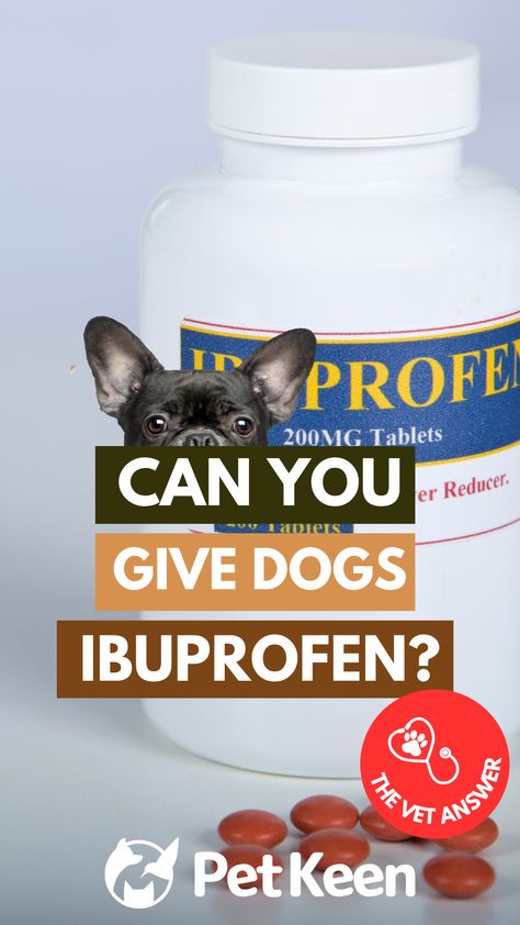 In this article, we’ll explore the safety and risks of administering ibuprofen to dogs, discuss alternative pain relief options, and provide additional information to keep your pet safe. Safe Medicine For Dogs, Medicine Safe For Dogs, Meds For Dogs, Pet Safe, My Dog, Pain Relief, For Dogs, Your Pet, Medicine