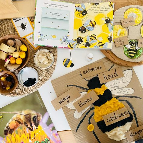 🐝BEE SENSORY PLAYDOUGH PUZZLE🐝 . 💛Some inspiration for World Bee Day on Monday! (One of our favourites! 😊) . 🐝Roo and Pops absolutely love this bee anatomy sensory puzzle. . 💛If you fancy recreating this one then keep your eyes peeled on my stories… . 🐝Will you bee celebrating the wonderful bee??? . ✨ ✨ ✨ #beeday2024 #beeactivitiesforkids #beeplaydough #worldbeeday #playdoughideas #playdoughfun #learningthroughplaydough #natureplay #natureplayalong #natureplaymothers #learningthroughplay #ho... Sensory Puzzle, Bee Anatomy, Sensory Playdough, World Bee Day, Cardboard Play, Bee Activities, Early Years Classroom, Bee Day, Nature Play