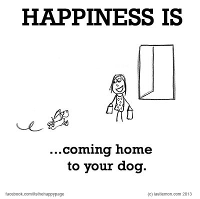 What makes YOU happy? Let us know at www.lastlemon.com and we'll illustrate it. Dog Quotes Short, Short Dog Quotes, Pets Quotes, Cute Dog Quotes, Cute Happy Quotes, Short Dog, Quotes Short, Dog Rules, Dogs Of The World