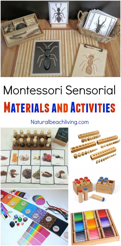 Montessori Sensorial Materials Every Child Will Love, Perfect Montessori Activities and Montessori Materials for Preschool, Sensory, Smelling bottles, Color Montessori Gifts, Best Montessori Toys, Montessori Trays, Montessori Activities Preschool, Montessori Science, Montessori Color, Montessori Printables, Montessori Books, Montessori Lessons