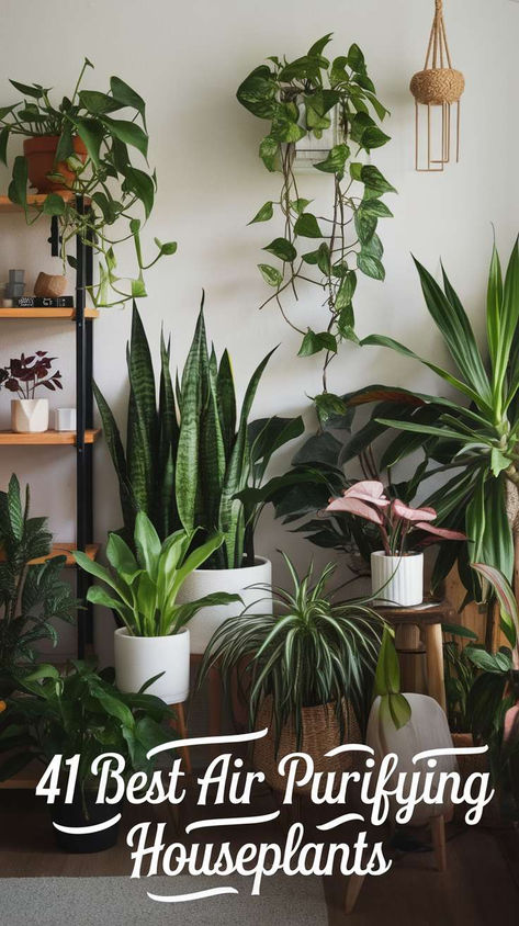 A bright room with houseplants and the text at the bottom of the image, "41 best air purifying houseplants" Best House Plants To Clean The Air, Best Indoor Plants For Oxygen, Plants That Improve Air Quality, Indoor Plants Air Purifying, Indoor Plants That Purify The Air, Plants That Clean Indoor Air, House Plants In Bedroom, Plants For Inside The House, Indoor Plants Purify Air