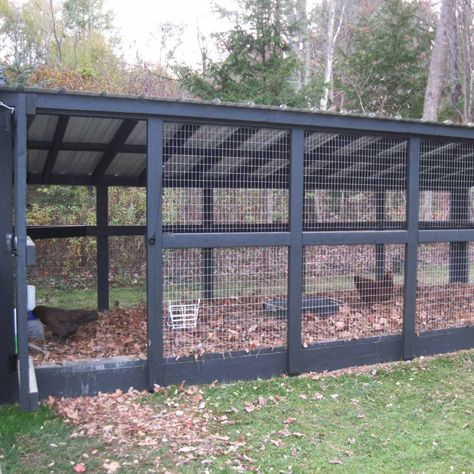 Chicken Run Ideas, Reban Ayam, Backyard Coop, Cute Chicken Coops, Small Chicken Coops, Easy Chicken Coop, Chicken Coop Garden, Backyard Chicken Coop Plans, Diy Chicken Coop Plans