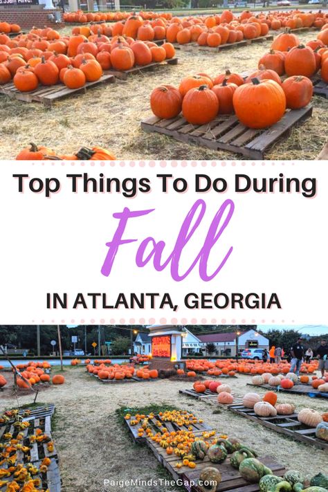 Things To Do During Fall, Halloween Tour, Visit Atlanta, Best Pumpkin Patches, Pumpkin Patches, Pumpkin Picking, Mind The Gap, Fall Activities, Top Travel Destinations