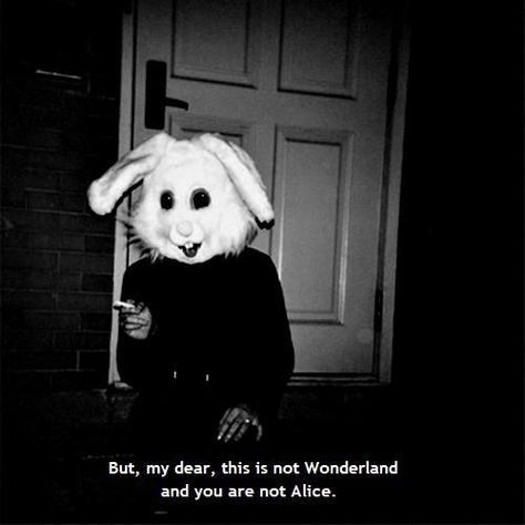 Alice in Wonderland Grunge Quotes, Wonderland Quotes, Were All Mad Here, Soft Grunge, Grunge Aesthetic, Quote Aesthetic, The Words, Dark Aesthetic, Dark Side