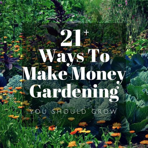 Make Money Gardening: 20+ Ideas To Start Earning Now! Farm Business, Garden Vegetable, Market Garden, Starting A Garden, Garden Nursery, Farm Stand, Hydroponic Gardening, Hobby Farms, Ways To Make Money