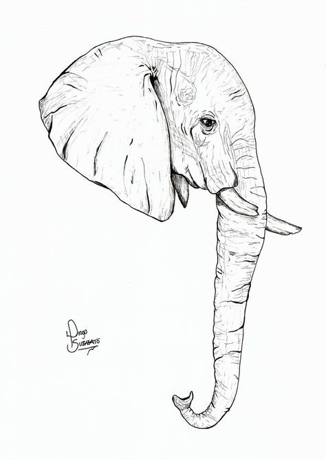 Elephant Face Drawing, Elephant Head Drawing, Elephant Art Drawing, Easy Elephant Drawing, Simple Elephant Tattoo, Elephant Head Tattoo, Elephant Outline, Side View Drawing, Elephant Sketch