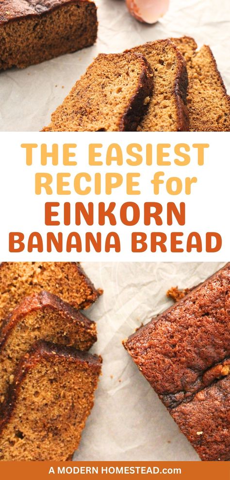 Craving something cozy? Discover the joy of baking with einkorn flour in this easy banana bread recipe! Savor the flavor of homemade einkorn banana bread – a quick and tasty recipe for busy days. Transform overripe bananas into a mouthwatering delight with this easy einkorn banana bread recipe. Einkorn Flour Banana Bread, Einkorn Recipes Breads, Fresh Milled Banana Bread, Home Ground Flour Recipes, Einkorn Banana Bread, Einkorn Bread Machine Recipe, Banana Bread No Eggs, Homemade Staples, Einkorn Bread