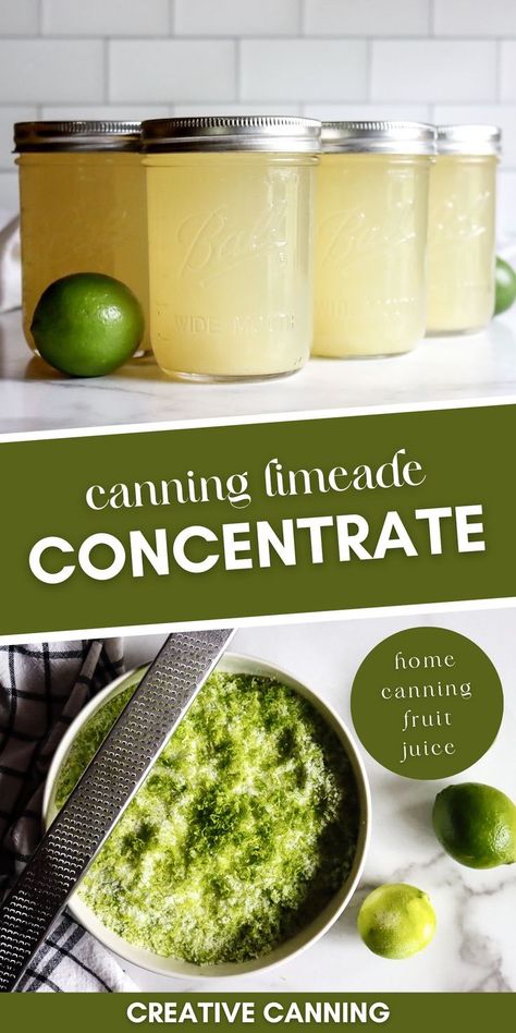 Refrigerator Canning Recipes, Canning Drink Concentrate, How To Preserve Limes, Canning Juice Concentrate, Canning Fruit Juice, Canning Drinks, Canning Juice, Homemade Limeade, Fruit In Jars