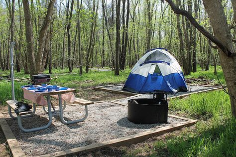 Camp in one our the new campsites at Powhatan State Park, at Powhatan State Park, Va Dispersed Camping, State Park Camping, Camping Must Haves, Backcountry Camping, Virginia Travel, Virginia State, Cabin Camping, New River, Beautiful Park