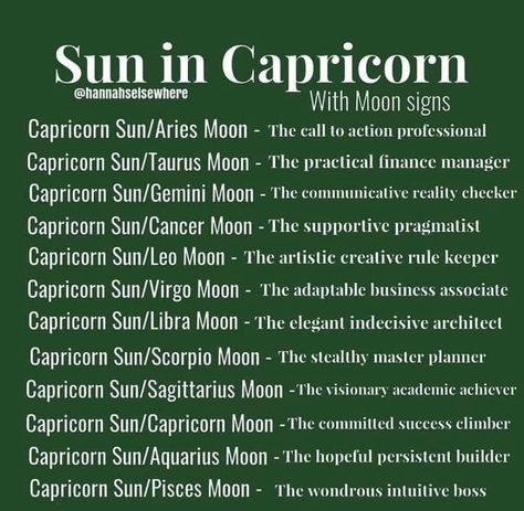 Sun Capricorn, 13th Zodiac Sign, Pluto In Aquarius, Stars Astronomy, Personality Chart, Capricorn Sun, Astrological Chart, 5th Element, Sagittarius Moon