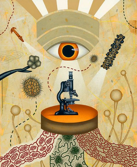 Epic science illustration - Graphic Design Collage Illustrations, Biology Art, Science Illustration, Weird Science, Contemporary Illustration, Collage Illustration, Scientific Illustration, Medical Illustration, Science Art