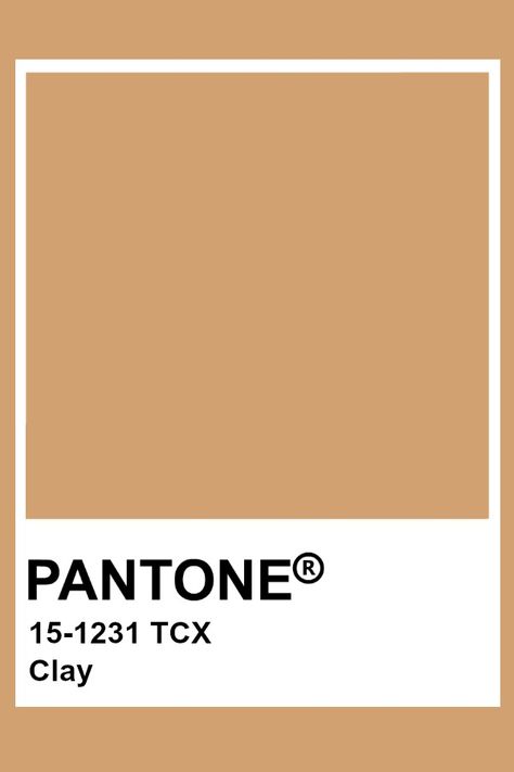 Pantone Clay Nails Neutral Colors, Bedroom Zen, Brown Pantone, Pantone Tcx, Pantone Color Chart, Pantone Swatches, Nails Neutral, Pantone Palette, Pantone Colour Palettes