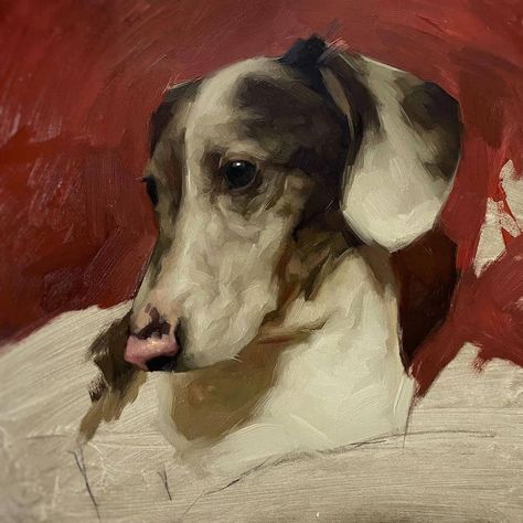 Jennifer Gennari, Pet Portraiture, Pet Portrait Paintings, Dog Portraits Painting, Dog Portraits Art, Painting Animals, Animal Portraits Art, Animal Portraits, Wildlife Paintings