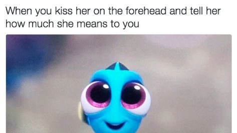 These are all memes you can send your girlfriend or you can share them on facebook and tag her in them. Rub it in everyone's faces how happy the two of you Funny Boyfriend Memes, Couple Memes, Funny Relationship Memes, Cute Love Memes, Love Quotes For Boyfriend, Boyfriend Memes, Boyfriend Humor, Boyfriend Quotes, Relationship Memes