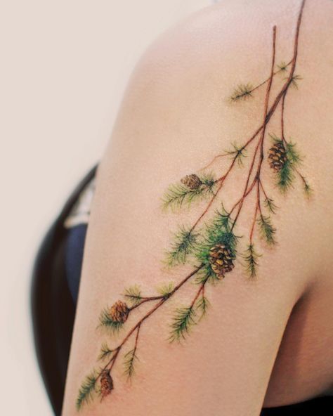 20 Stunning Pine Tree Tattoo Ideas for Men & Women in 2024 Tree Tattoo Ideas For Men, Small Nature Tattoo, Tree Tattoo Ideas, Wilderness Tattoo, Matching Tattoos For Siblings, Pnw Tattoo, Pine Tattoo, Tree Branch Tattoo, Feminine Shoulder Tattoos