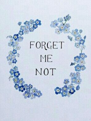 Boulet Journal, Larkspur Flower, Widget Design, Flower Quotes, Floral Theme, Forget Me Not, Phone Themes, Bluebird, Quote Aesthetic