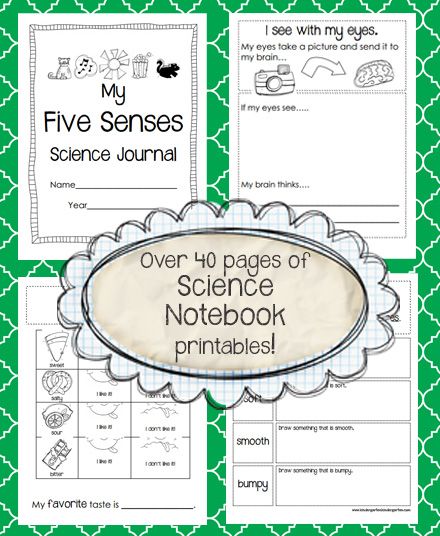 Five Senses science journal for kindergarten by Kathryn Warner Kindergarten Science Lesson Plans, Senses Kindergarten, Kindergarten Science Lessons, Notebook Printables, Kindergarten Science Activities, 1st Grade Science, Science Notebook, Science Notebooks, Math Problem Solving