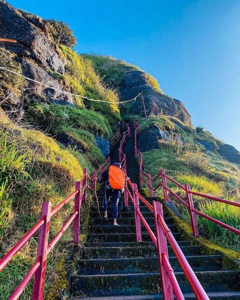 Traveling, hiking Adams Peak, Adam's Peak, Sri Lanka Travel, 2025 Vision, Beautiful Picture, Sri Lanka, Tourism, Vision Board, Hiking