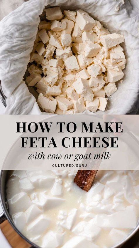 Savor the rich, creamy texture of homemade feta. Learn how to make feta cheese from scratch. Aged to tangy perfection, it's a delightful addition to salads, pastas, and your favorite dishes. #cheese #fermentation #feta Make Feta Cheese, Homemade Feta Cheese, Homemade Feta, Cheese Recipes Homemade, Fermented Dairy, Cheese Making Recipes, Goat Milk Recipes, Feta Cheese Recipes, Diy Cheese