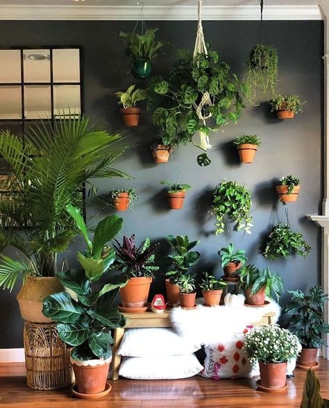 Home Deco on Instagram: “Tip: If you run out of shelf space, hang your plants on the wall 🌿⁠ ↠ Follow us @homedeco for more decor ideas⁠ ↠⁠ ↠⁠ ↠⁠ 📸:…” Garden Bathroom Ideas, House Plants Decor Indoor, Big Indoor Plants, Houseplants Decor, Dark Accent Walls, Air Purifying House Plants, Living Vintage, Garden Bathroom, Healing Plants