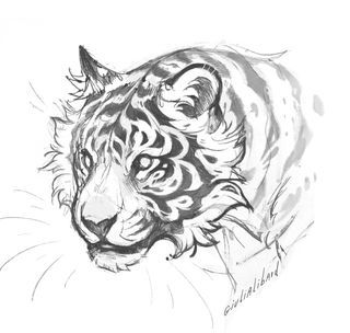 Tiger Drawing, Animal Drawings Sketches, Big Cats Art, Tiger Art, Arte Inspo, Animal Sketches, 영감을 주는 캐릭터, Art Tutorials Drawing, Sketchbook Art Inspiration