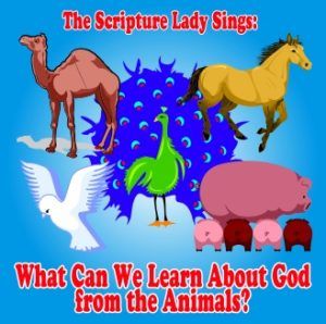 Animals In The Bible, Toddler Bible Lessons, Childrens Ministry Lessons, Toddler Sunday School, Toddler Bible, Animals Preschool, Preschool Bible Lessons, Animal Lessons, Kids Sunday School Lessons