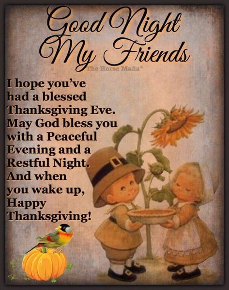 Happy Thanksgiving Quotes Friends, Happy Thanksgiving Wallpaper, Happy Thanksgiving Friends, Happy Thanksgiving Pictures, Good Night My Friend, Good Times Quotes, Happy Thanksgiving Images, Thanksgiving Eve, Evening Quotes