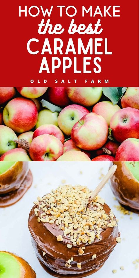 It's easy to make the perfect caramel apple with this simple + delicious homemade caramel recipe, plus easy tips and tricks for success! Homemade Caramel Recipe, Caramel Apple Recipe Easy, Homemade Caramel Apples, Homemade Caramel Recipes, Easy Homemade Caramel, Apples Recipes, Candy Apple Recipe, Caramel Apples Homemade, Caramel Apples Recipe