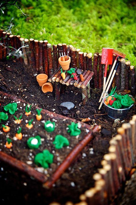 Fairy Garden Contest 2014 Winner on The Magic Onions : www.theMagicOnions.com Miniature Fairy Garden Diy, Miniature Garden Design, Diy Miniature Garden, Miniature Garden Decor, Plants And Gardening, Tiny Animals, Fairy Garden Furniture, Gardens Ideas, Fairy Garden Designs