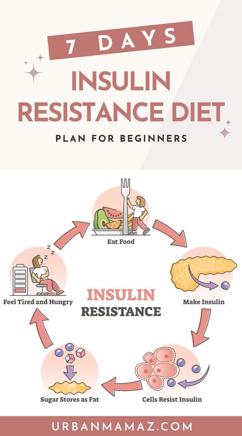 Insulin Resistance Diet Plan, Protein Diet Plan, Best Diet Foods, Breakfast Low Carb, Best Diet Plan, Low Fat Diets, Diet Help, Diet Keto, Insulin Resistance