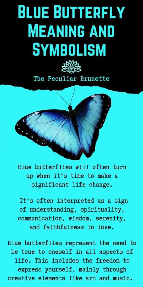 Meaning Of Blue Butterfly, Blue Butterfly Symbolism Meaning, Blue Butterfly Symbolism, Blue Butterfly Spiritual Meaning, Blue Butterfly Tattoo Meaning, Butterfly Significance, Blue Butterfly Quotes, Butterfly Symbolism Meaning, Meaning Of Butterflies