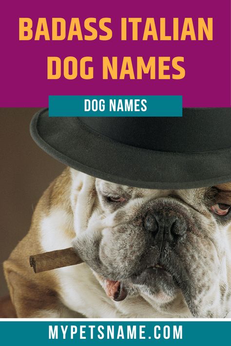 Mafias used to control a large part of Italy and their stories are famous in Italian culture, and Hollywood movies alike. Some great mob films include Gangs of New York or the TV show, the Sopranos. Names like Tony and Don for some badass Italian dog names. Italian Mafia Names, Italian Dog Names, Mafia Names, Alter Ego Names, Italian Mobsters, Italian Dogs, Gangs Of New York, Big And Rich, The Sopranos