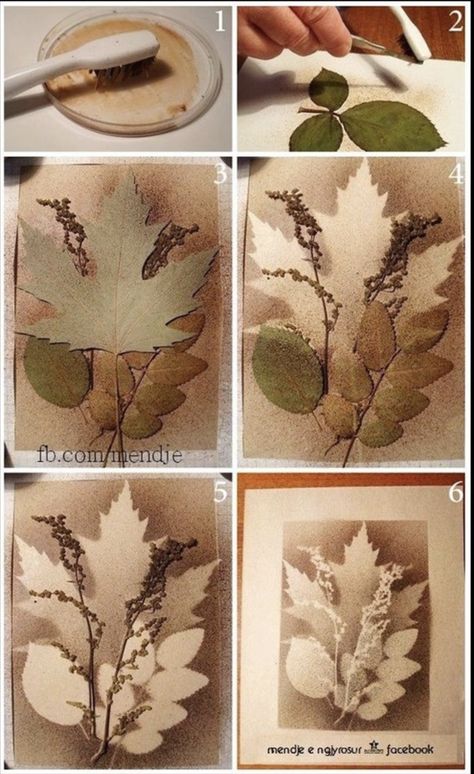 Leaf Crafts, Easy Canvas Painting, Eco Printing, Beginner Painting, Stencil Art, Tile Shower, Nature Crafts, Monoprint, Leaf Art