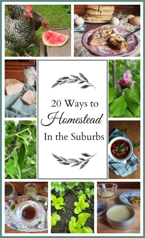 You don't have to have a lot of land or live out in the country to live the homesteading lifestyle. Here are 20 ideas for ways that you can homestead in the suburbs. Homesteading In The Suburbs, Beginner Homesteading, Homesteading For Beginners, Homestead Inspiration, Homesteading Animals, Out In The Country, Japanese Bread, Modern Homesteading, Easy Vegetables To Grow