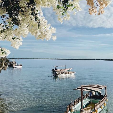 Discover Lamu, Kenya's Remote Island Oasis of Cultural Riches — Travel + Leisure Lamu Island Kenya, Lamu Island, Lamu Kenya, Remote Island, Sailing Boat, East Africa, Africa Travel, Old Wood, Indian Ocean