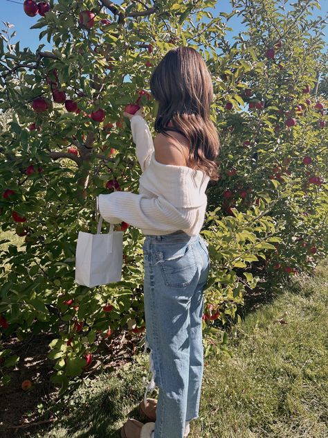 apple picking in a fall outfit in the fall Cute Fall Outfits Apple Picking, Apple Picking Fall Outfit, Orange Orchard Photoshoot, Apple Picking Outfit Couple, Fall Apple Orchard Outfit, Apple Farm Outfit Fall, Fall Outside Pictures, Apple Orchard Fall Photoshoot, Fall Outfits Apple Picking