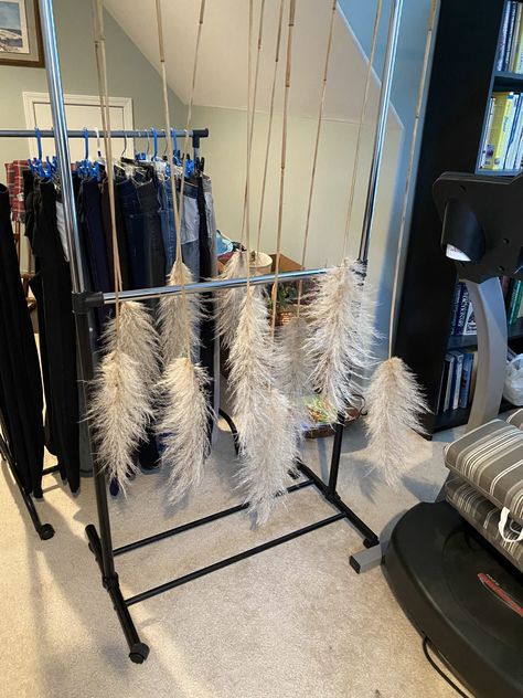 How to Dry Pampas Grass for Decorating - CASS Design Co. Pampas Grass Decor Wedding, Dry Pampas, Irish Wedding Traditions, Coastal Diy, For The Home Ideas, Portable Clothes Rack, Diy Paint Projects, Pampas Grass Decor, Grass Decor