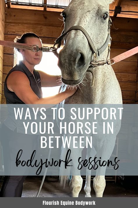 As a dedicated horse owner, you might often wonder how you can best support your horse's wellbeing between equine bodywork sessions. I'm frequently asked this question by my clients. My go-to advice? Focus on strengthening your horse's core muscles.   Jenny Thompson | Flourish Equine Bodywork Equine Bodywork, Jenny Thompson, Horse Owner, Core Muscles, Muscles, Focus On, Massage, Horses, Wonder