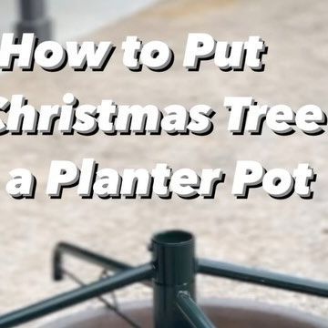 Peyton | Home Decor & Design on Instagram: "DIY Christmas Tree Stand for Planter Pot 🌲 How to put a Christmas Tree in a planter 🪣🎄🔧 Supplies needed: PVC pipe Plastic bucket Pipe cutter Quikrete Measure and Cut PVC Pipe: Measure the base of your Christmas tree trunk. Prepare the Bucket: Choose a sturdy plastic bucket or planter. It should be wider and deeper than the PVC pipe. Mix Quikrete: Follow the instructions on the Quikrete package to mix the concrete. It should have a thick, pourable consistency. Position the PVC Pipe: Place the PVC pipe vertically in the center of the bucket. Ensure it is standing straight. You can use a level to check this. Pour Quikrete: Pour the mixed Quikrete into the bucket around the PVC pipe. Be careful not to get Quikrete inside the PVC pipe. Let it Se How To Put A Christmas Tree In A Pot, Christmas Tree In A Planter, Christmas Tree In Pot Planters, Diy Christmas Tree Base, Diy Christmas Tree Stand, Christmas Tree Planter, Christmas Tree In Urn, Christmas Tree Bucket, Xmas Tree Stands