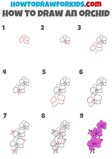 Draw Orchid Step By Step, Orkid Flower Drawing Easy, Orkid Drawing, Orchid Drawing Tutorial, Orchid Drawing Simple Easy, Orchid Doodle Simple, Orchid Flower Drawing Simple, How To Draw An Orchid Step By Step, Orchid Drawing Easy