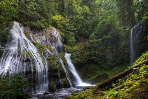 Oregon Aesthetic, Washington Nature, Gifford Pinchot National Forest, Hidden Oasis, Camping In The Woods, Washington Hikes, Washington Travel, Olympic Mountains, Evergreen State