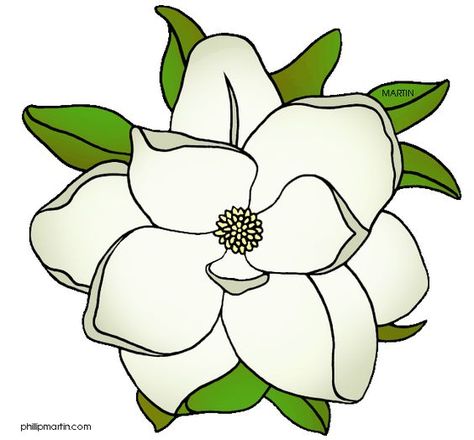 Louisiana State Flower - magnolia Flower Drawing Tutorials, Wreath Drawing, Free Clipart Images, Silk Flower Arrangements, Plant Drawing, Magnolia Flower, Flower Clipart, Mosaic Designs, Flower Clip