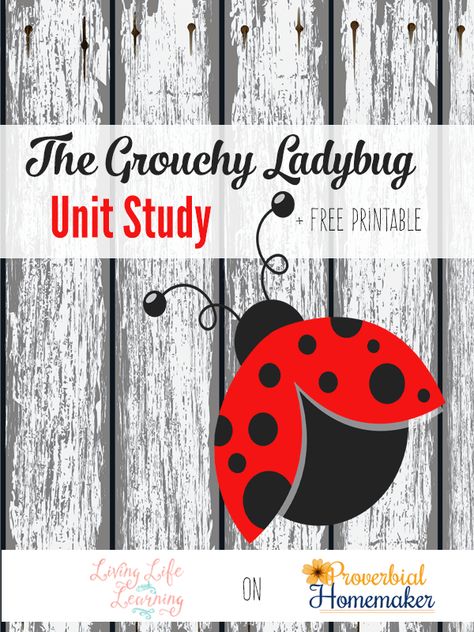 Insects Prek, Grouchy Ladybug Activities, Ladybug Activities, Ladybugs Preschool, Ladybug Classroom, The Grouchy Ladybug, Eric Carle Classroom, Literature Unit Studies, Grouchy Ladybug